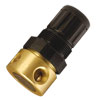 Click for details on R44 Series Pressure Regulators