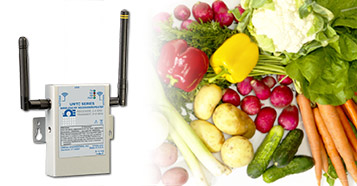 Wireless Signals & Faraday Cages in Temperature Measurement