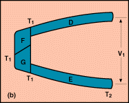 figure 1b