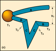 figure 1c